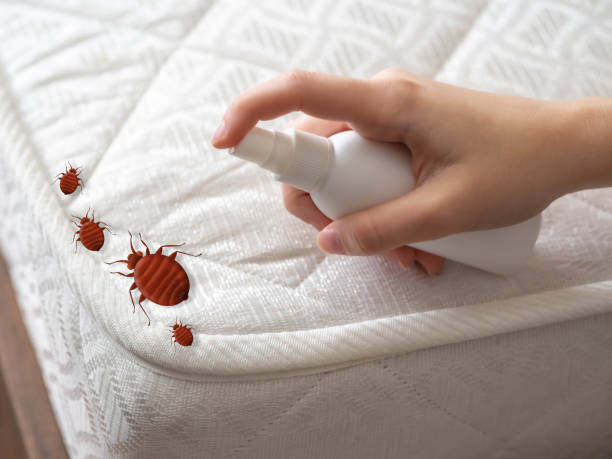 Best Pest Prevention Services  in Hansen, ID